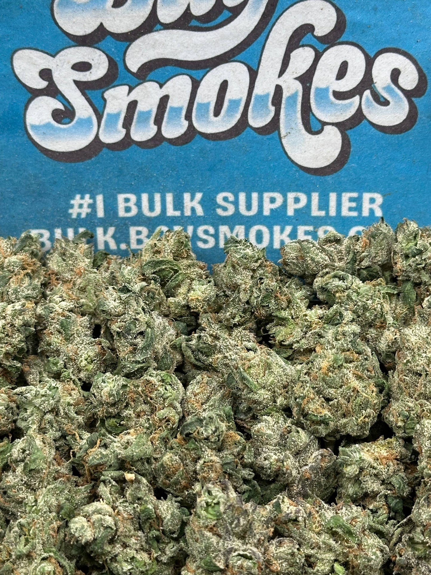 Super Silver Haze SM (Indica)
