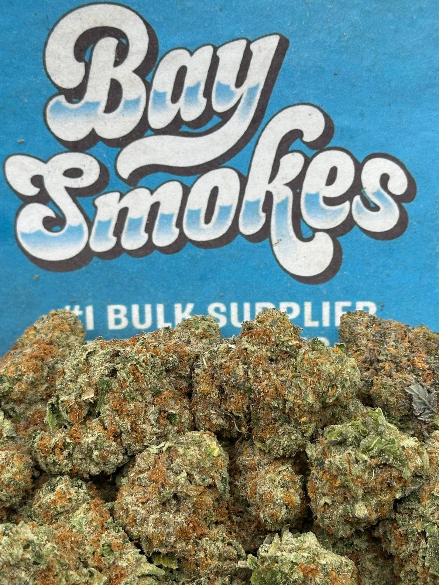 Watermelon (Hybrid)