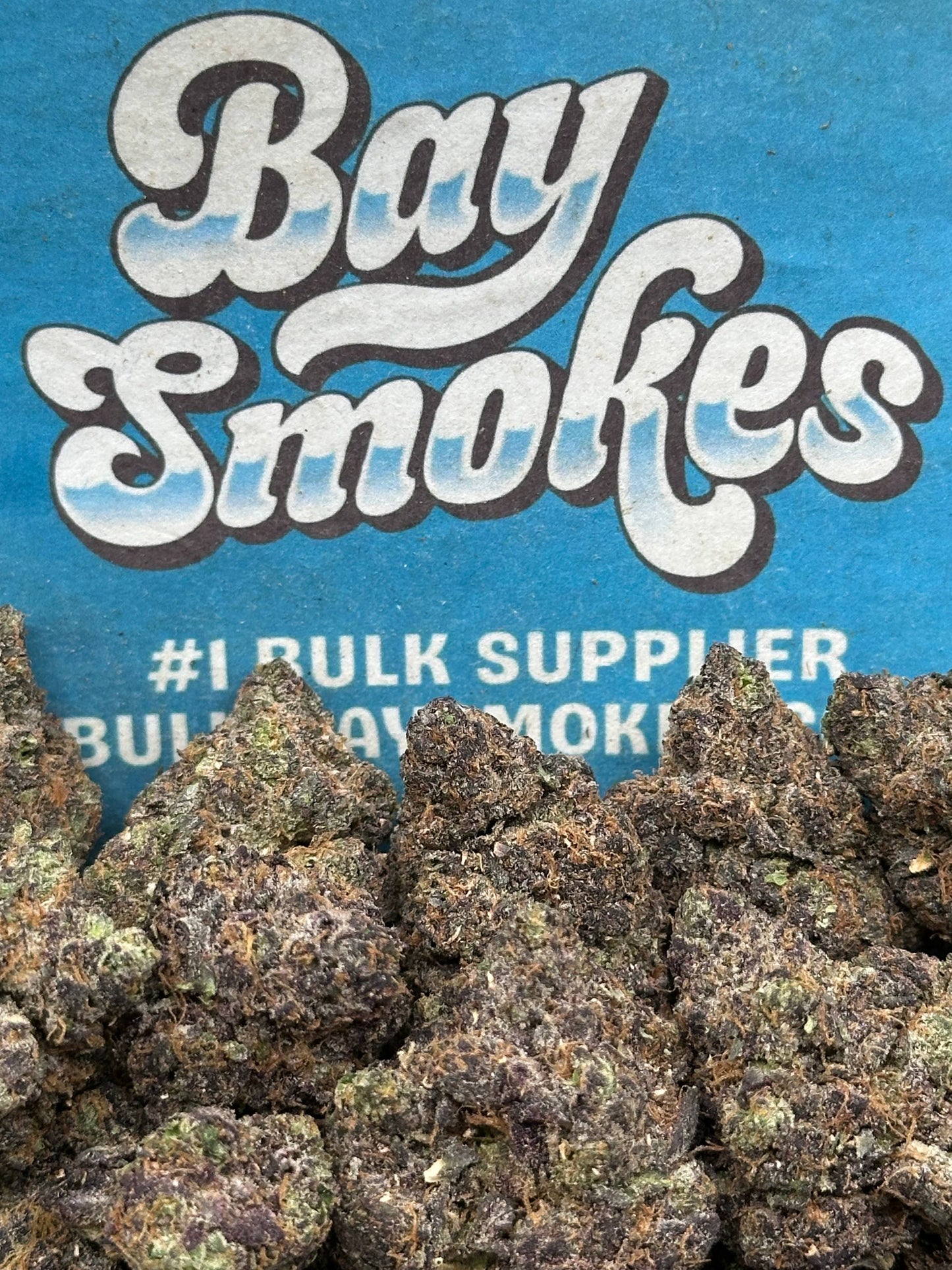 Rainbow Sherbet (Hybrid)