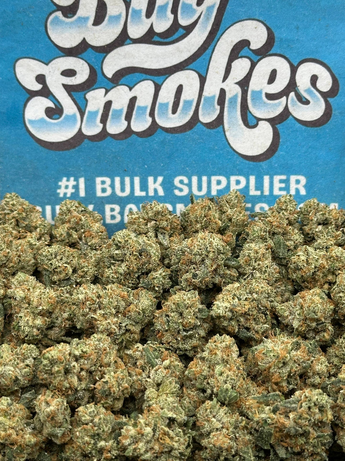 Quattro Kush SM (Indica)