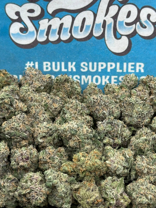 Rainbow Sherbet SM (Hybrid)