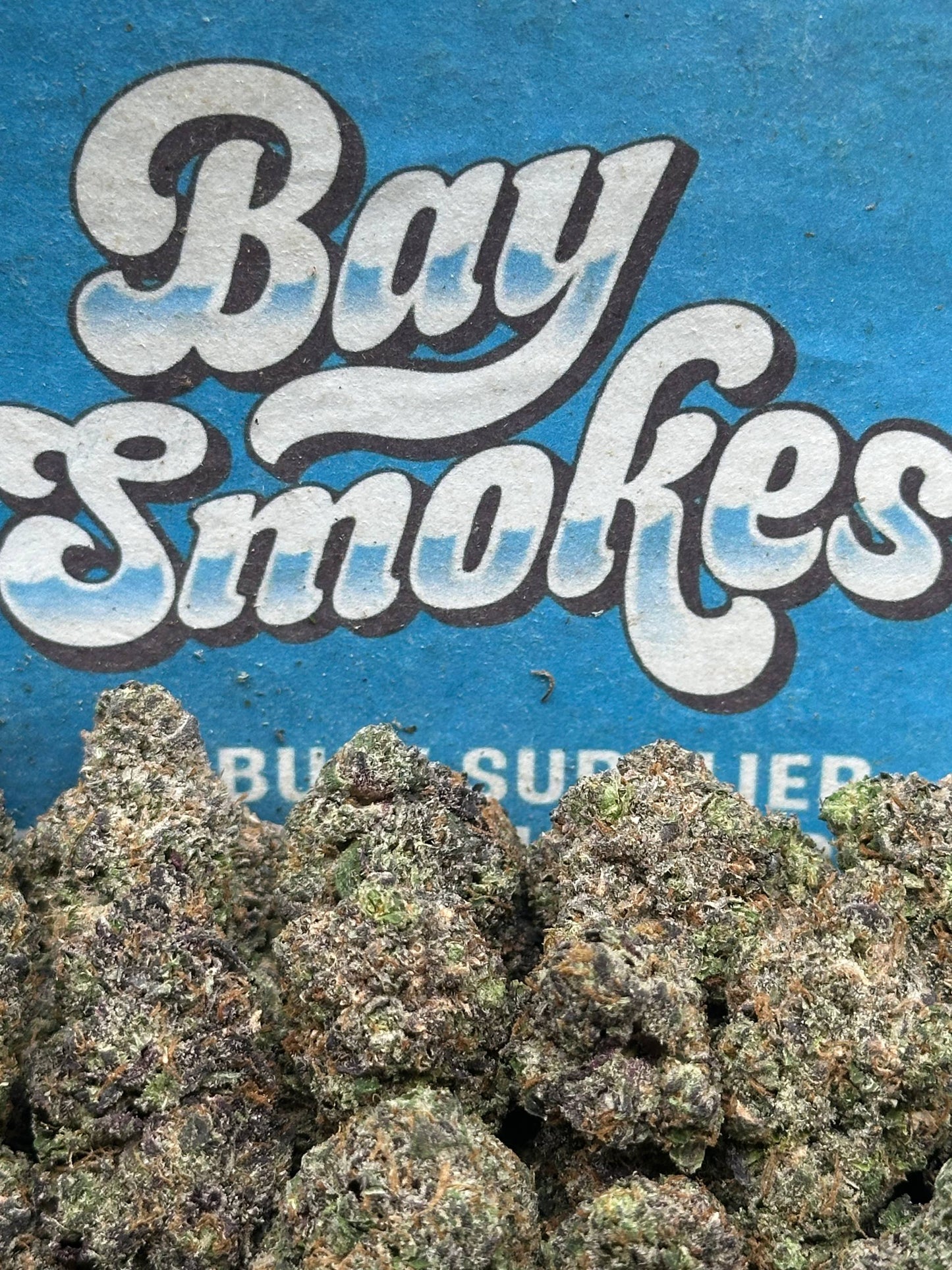 Watermelon (Hybrid)