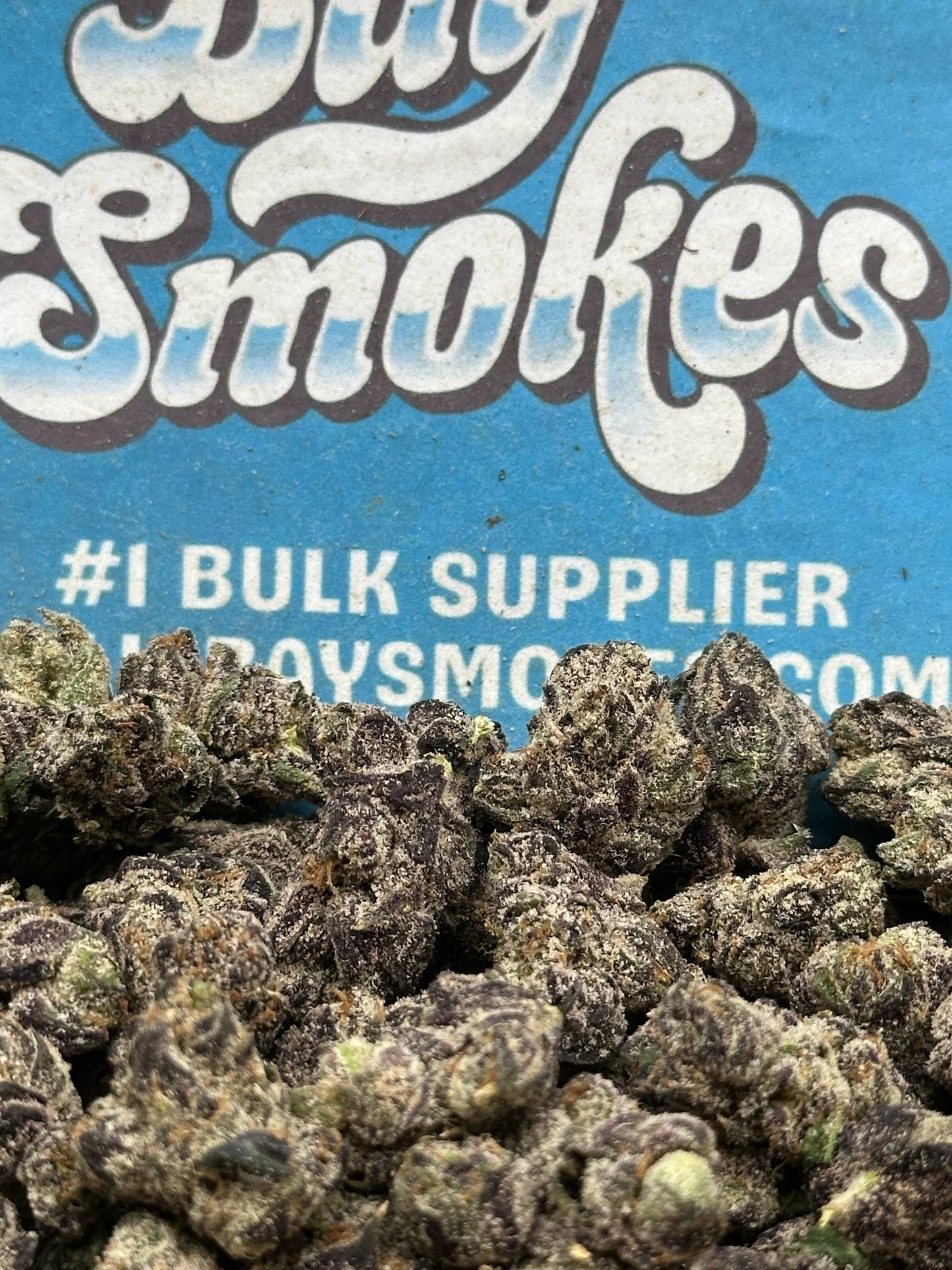 Super Glue SM (Hybrid)