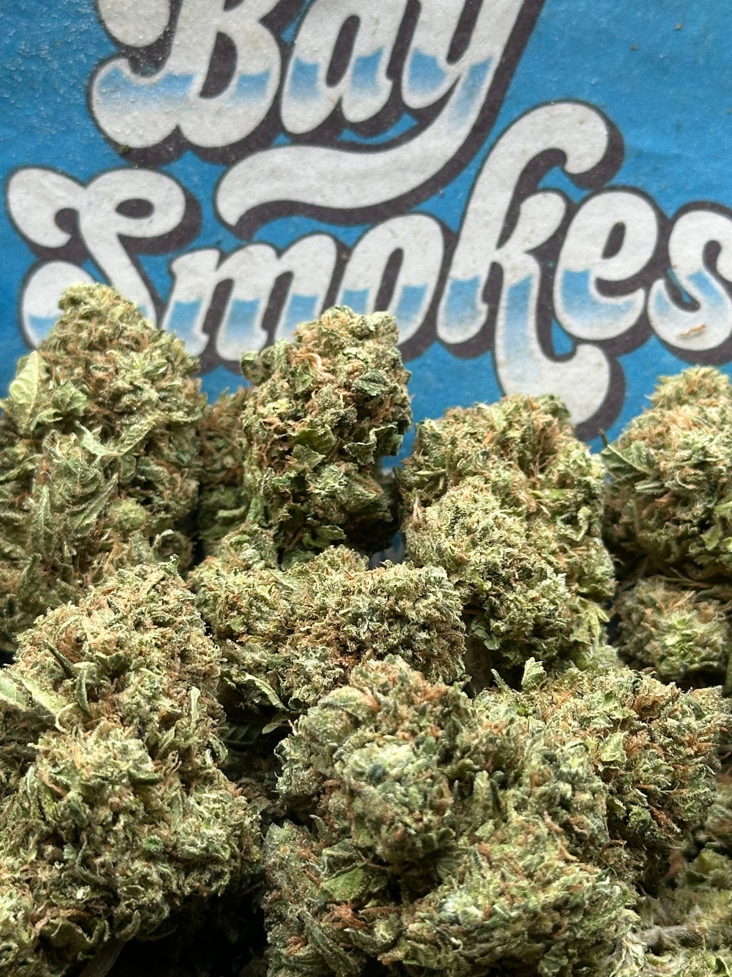 Banana Nose Candy (Hybrid)