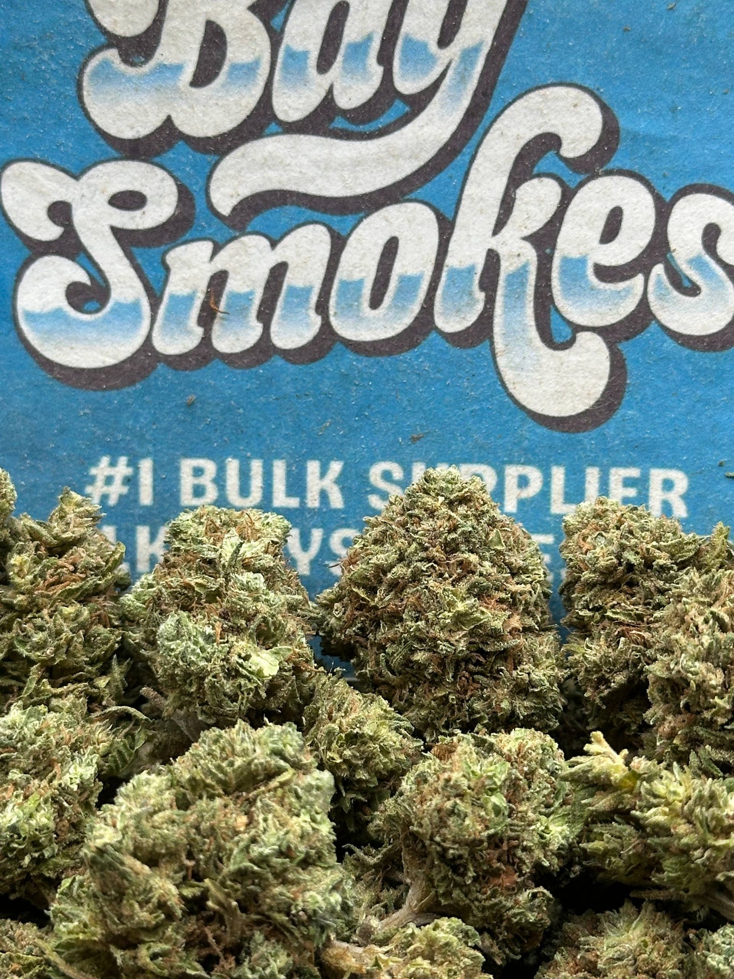 Kush Mintz (Hybrid)