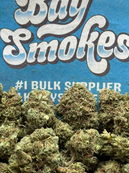 Kush Mintz (Hybrid)