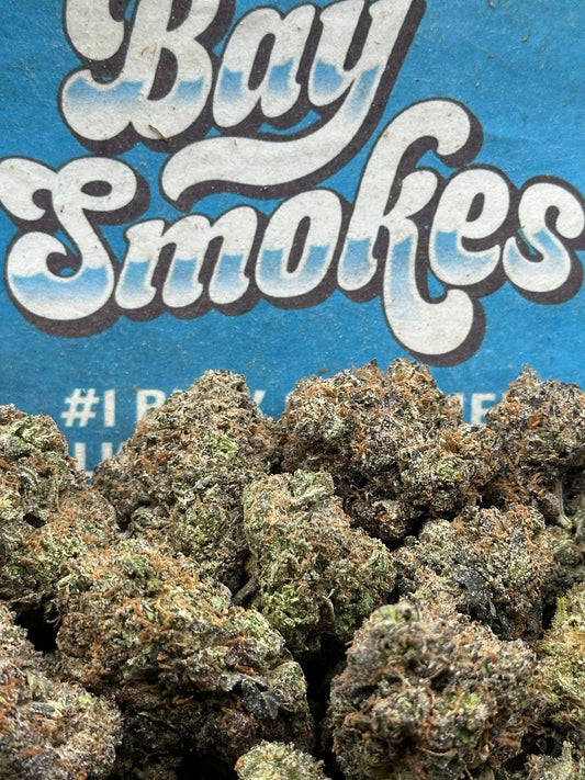 Northern Lights (Hybrid)