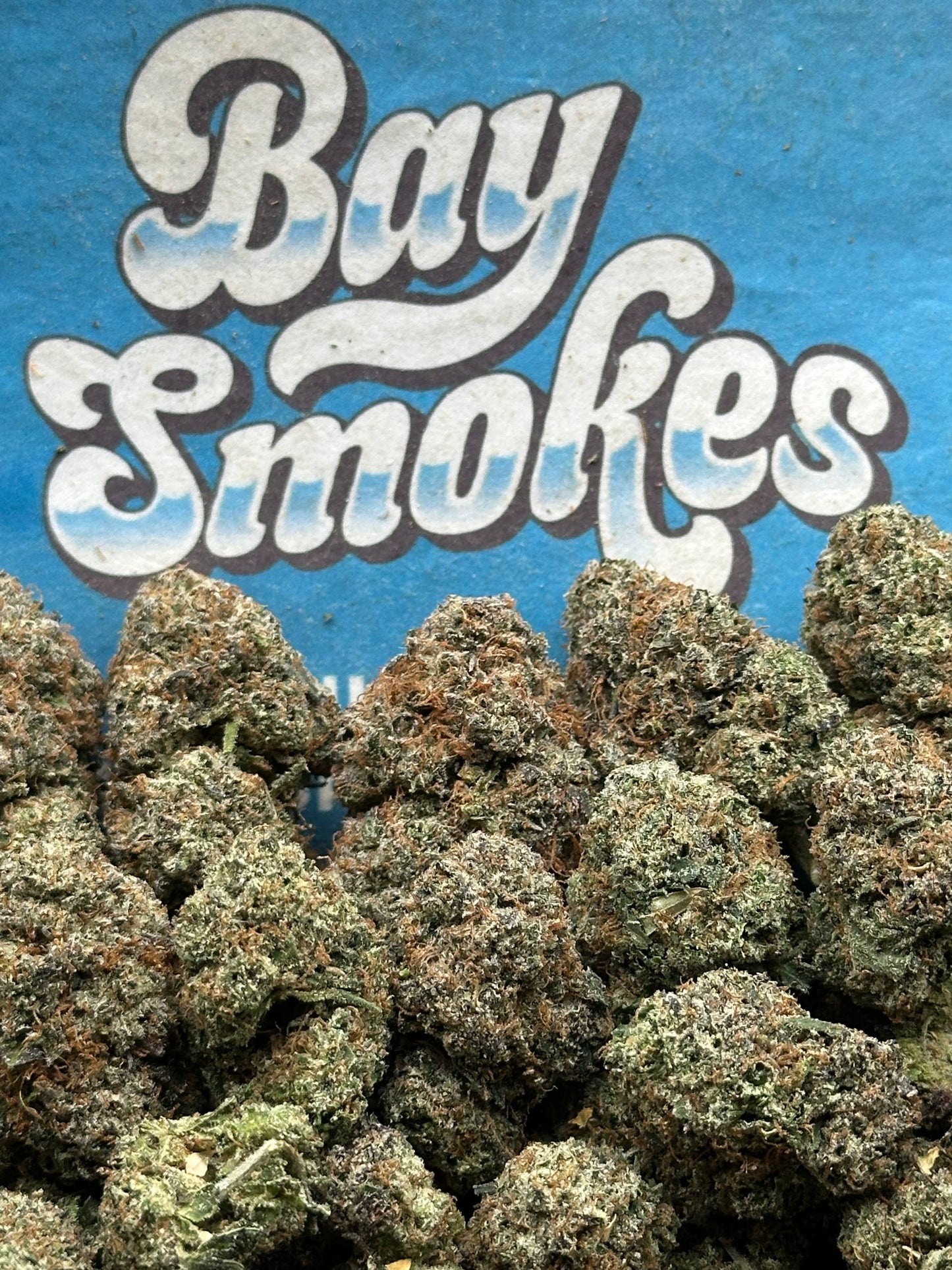 Apple Fritter (Hybrid)