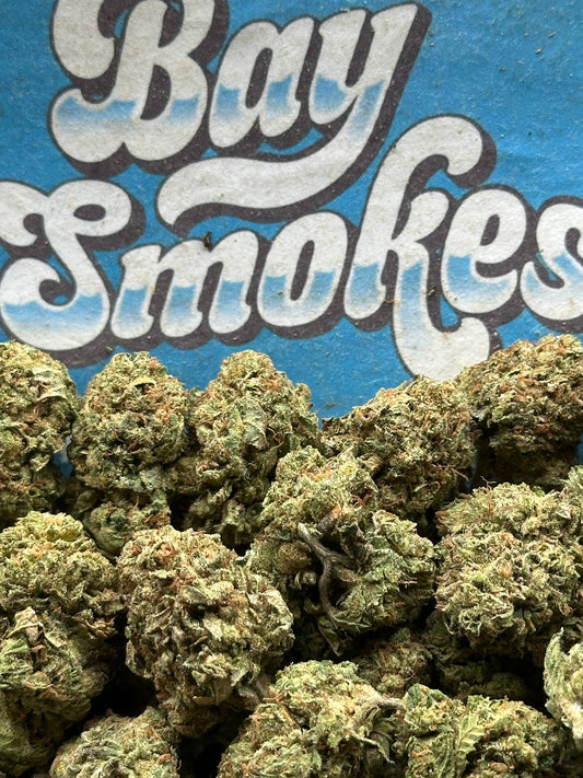 Kush Mintz (Hybrid)