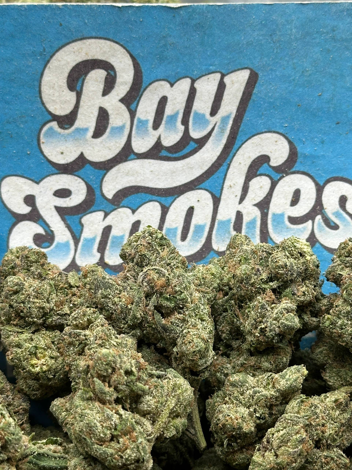 Apple Fritter (Hybrid)