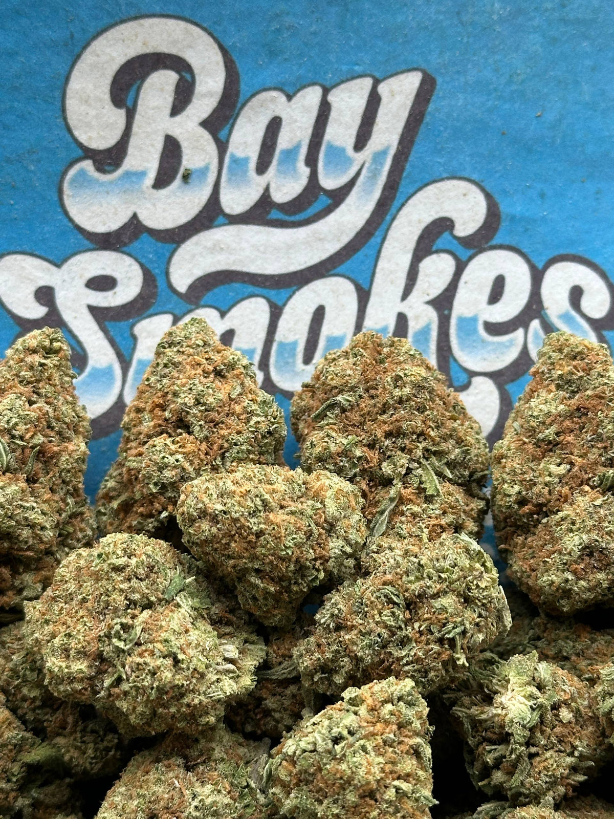Blue Cherry Gelato (Hybrid)