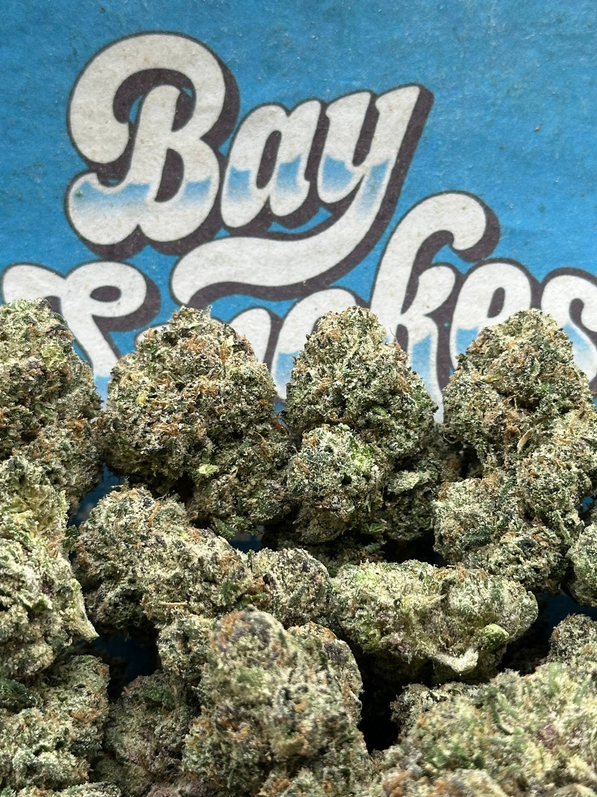 Purple Push Pop (Hybrid)
