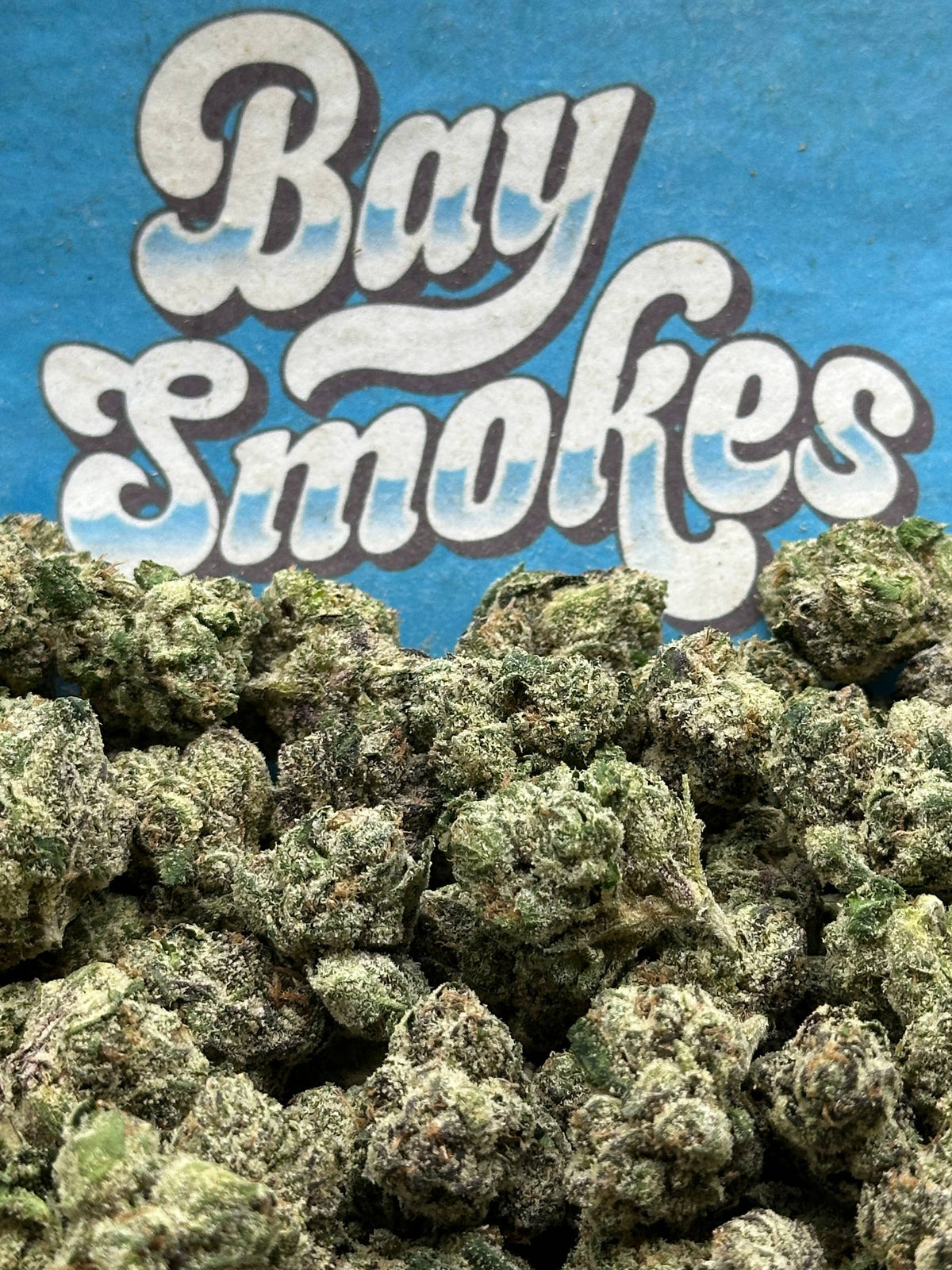 Quattro Kush SM (Indica)