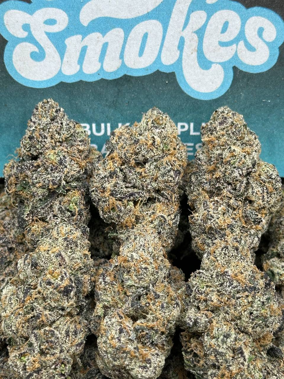 Cherry Zashimi ZAZA (Hybrid)