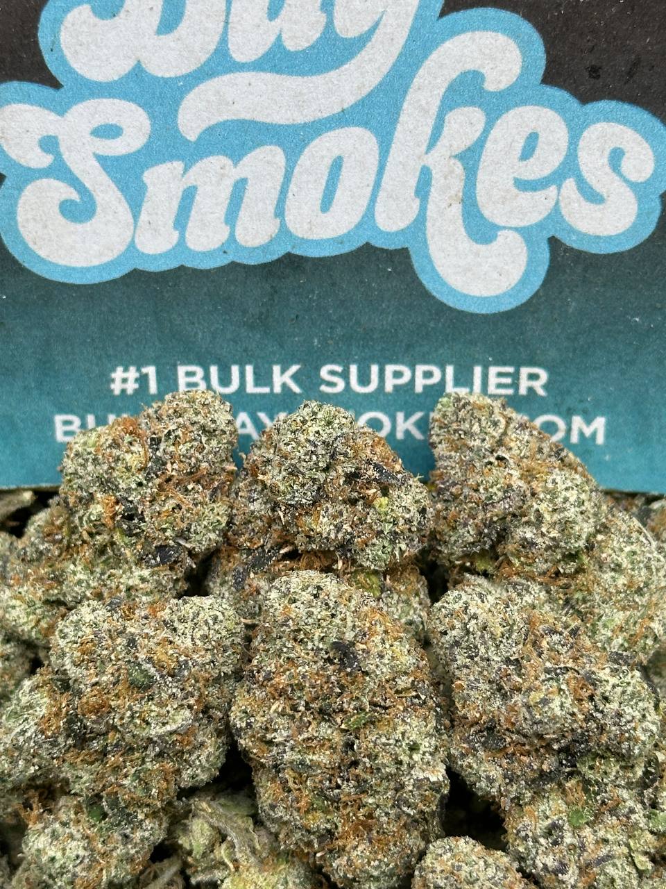Gelato 33 X LCG (Hybrid)
