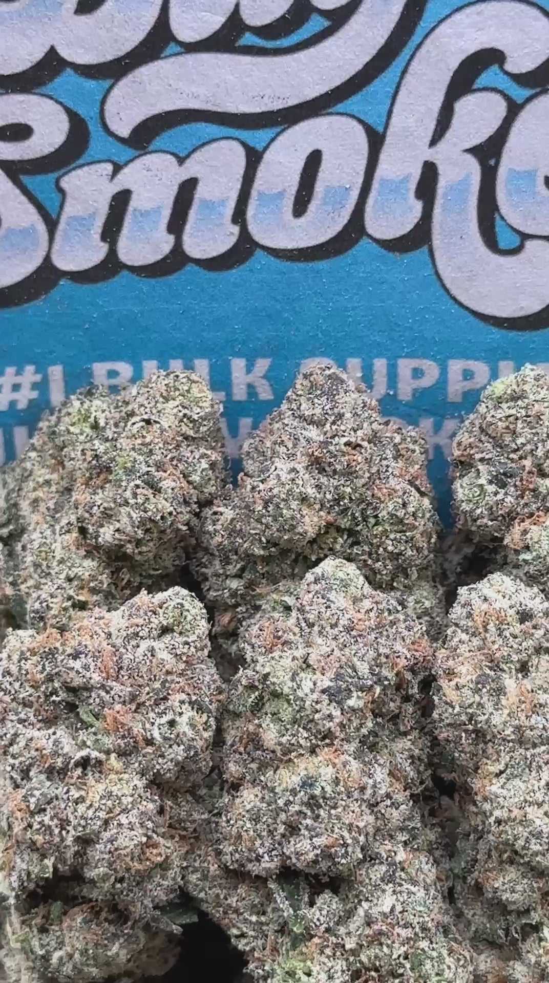 Black Cherry Gelato (Indica)