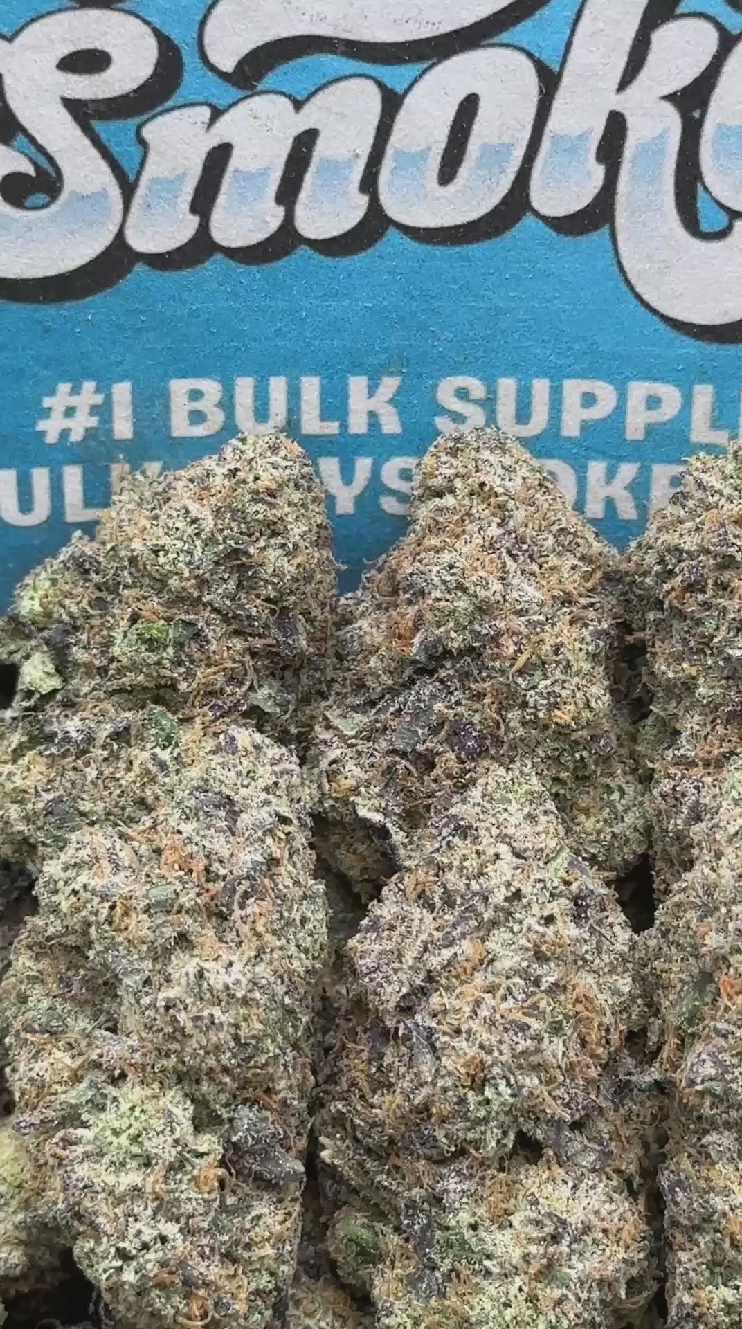 Lemon Runtz (Indica Hybrid)