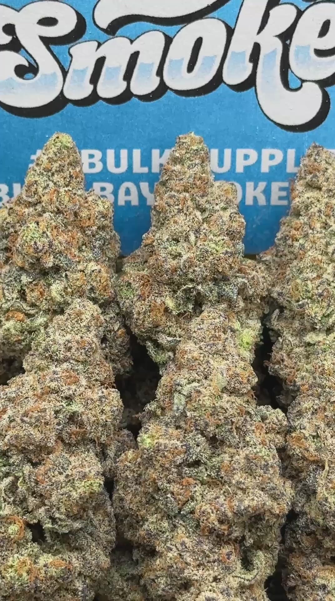 Cookies and Cream (Sativa)