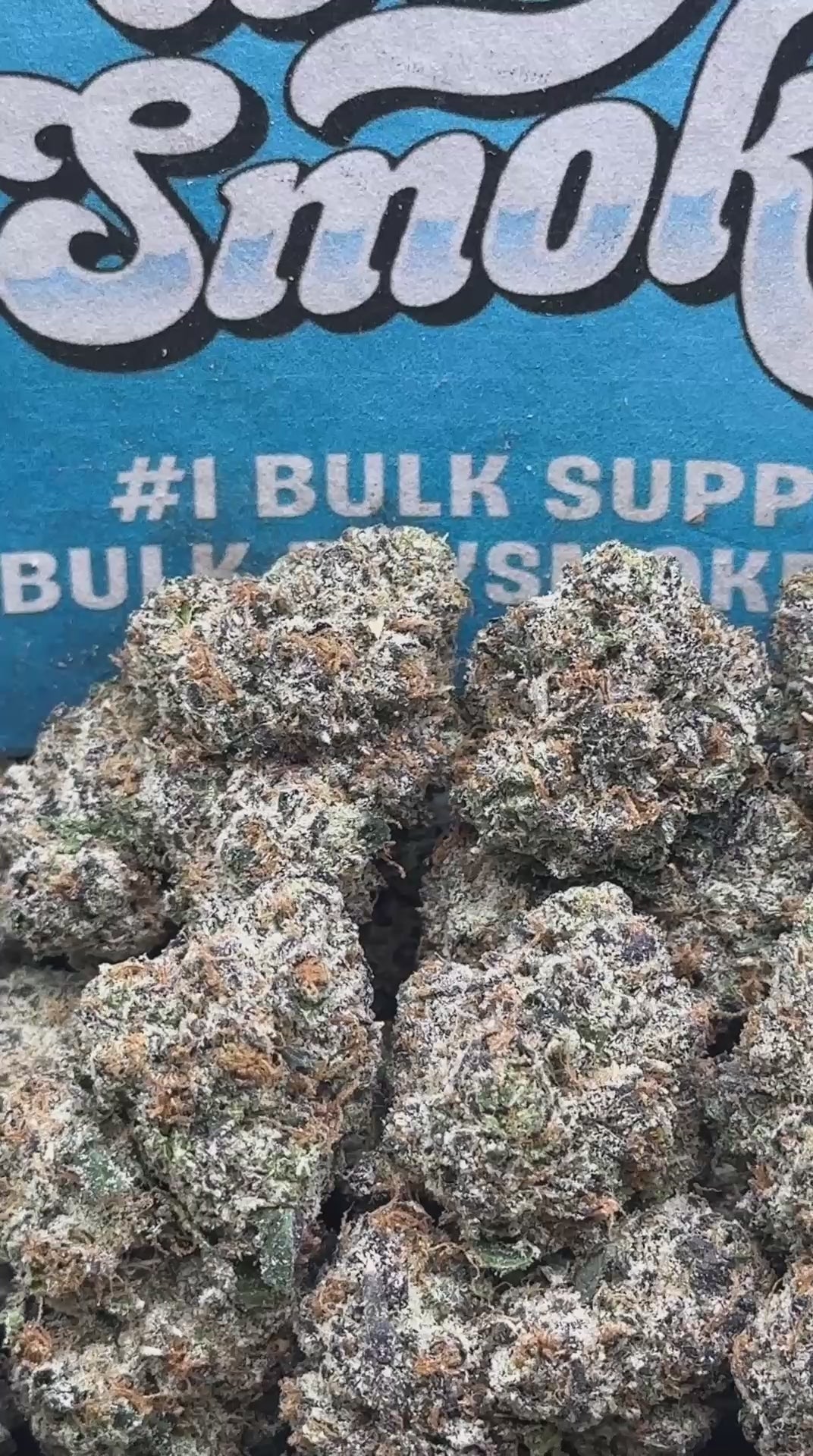 Blue Cherry Gelato (Indica Hybrid)