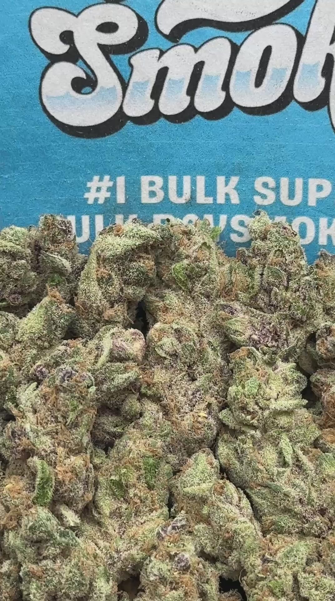 Biscotti SM (Indica)