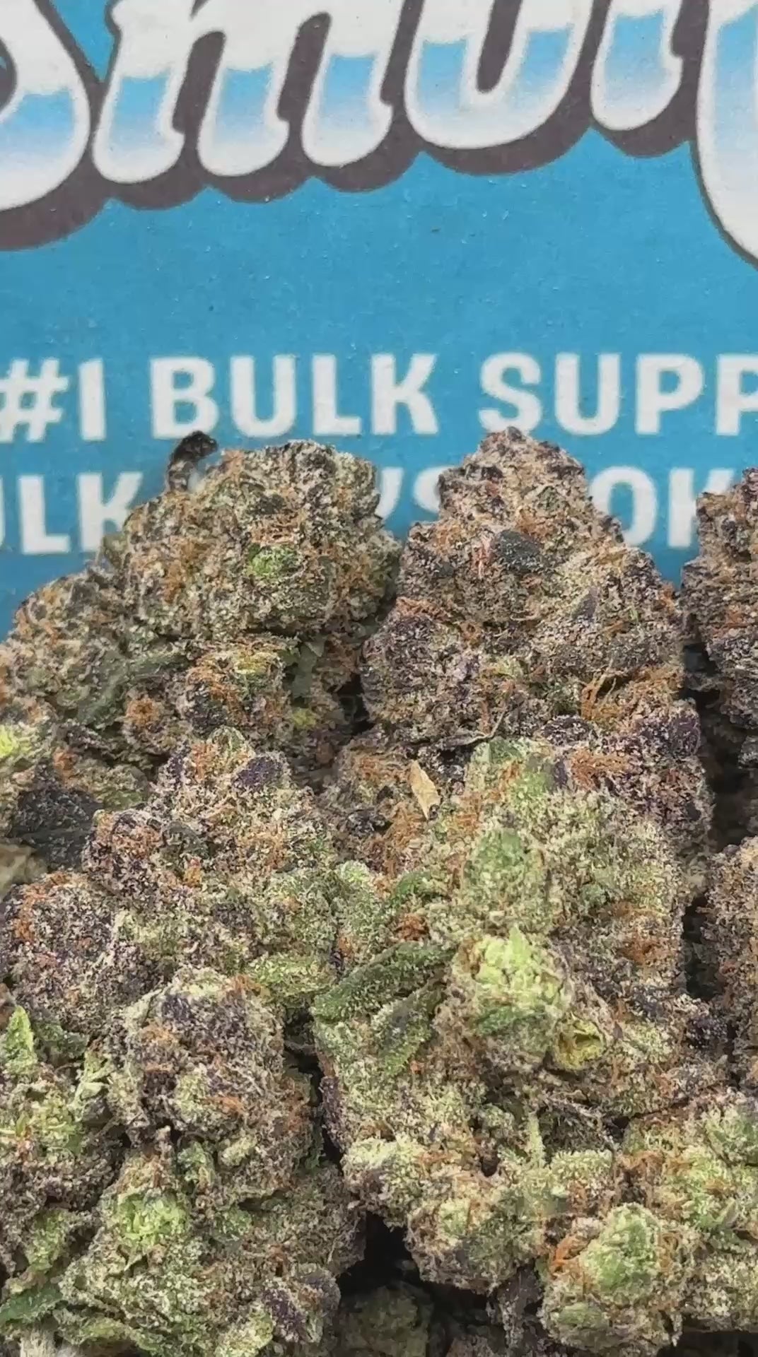 Lemon Runtz (Hybrid)