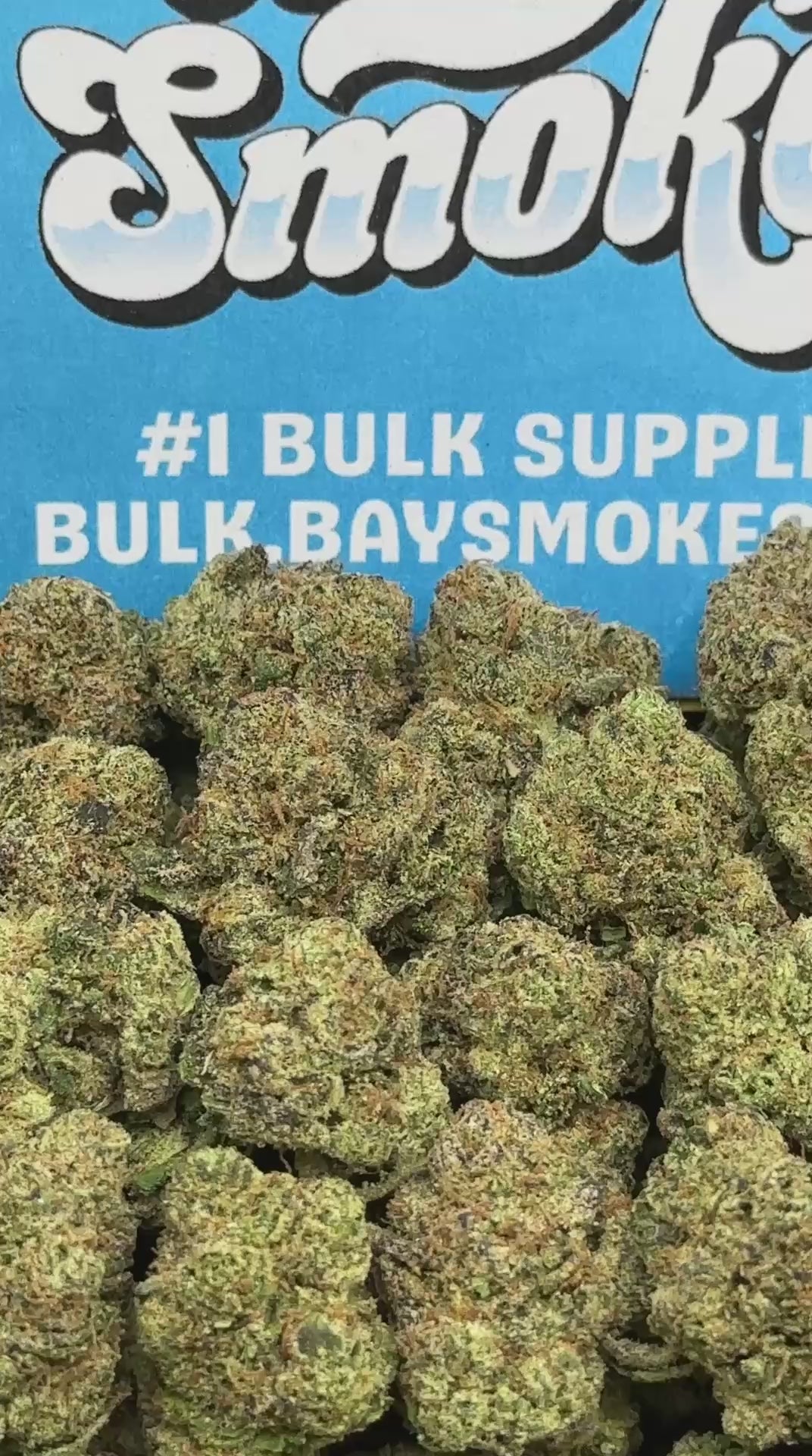 Orange Push Pop SM (Indica)