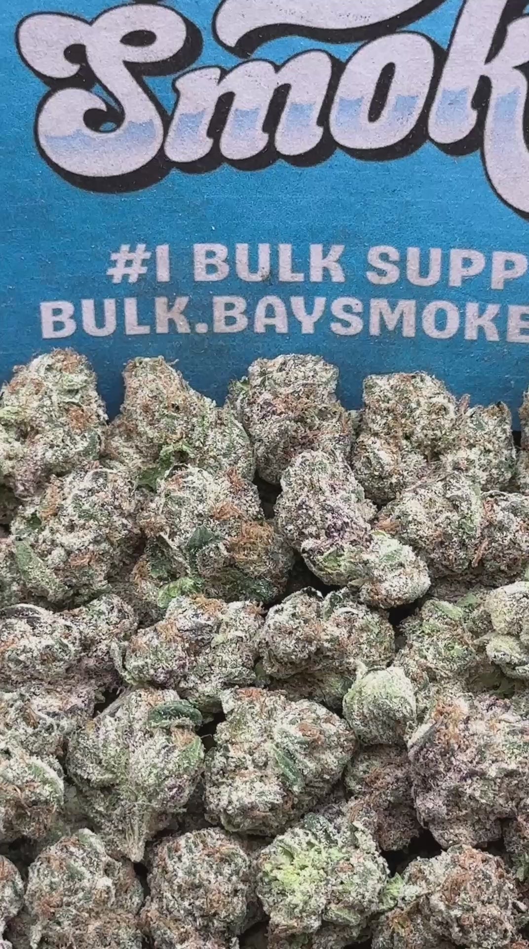 Gumbo Runtz SM(Indica)