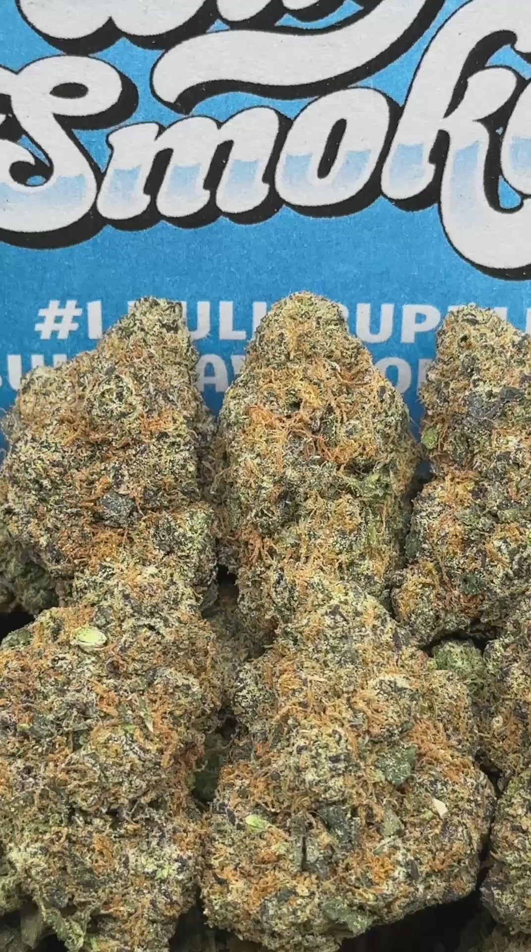 Watermelon Exotics Terp 🍉