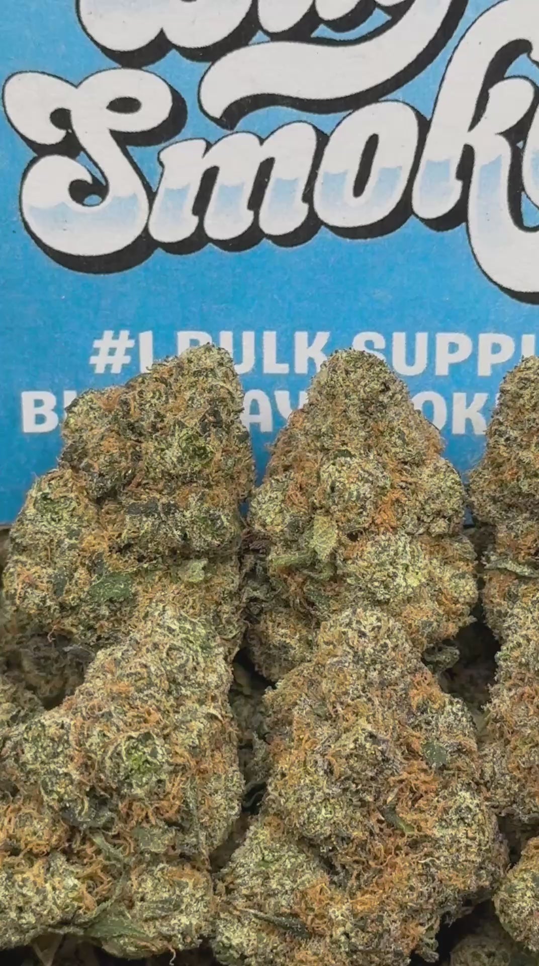 Mango Exotics Terp 🥭