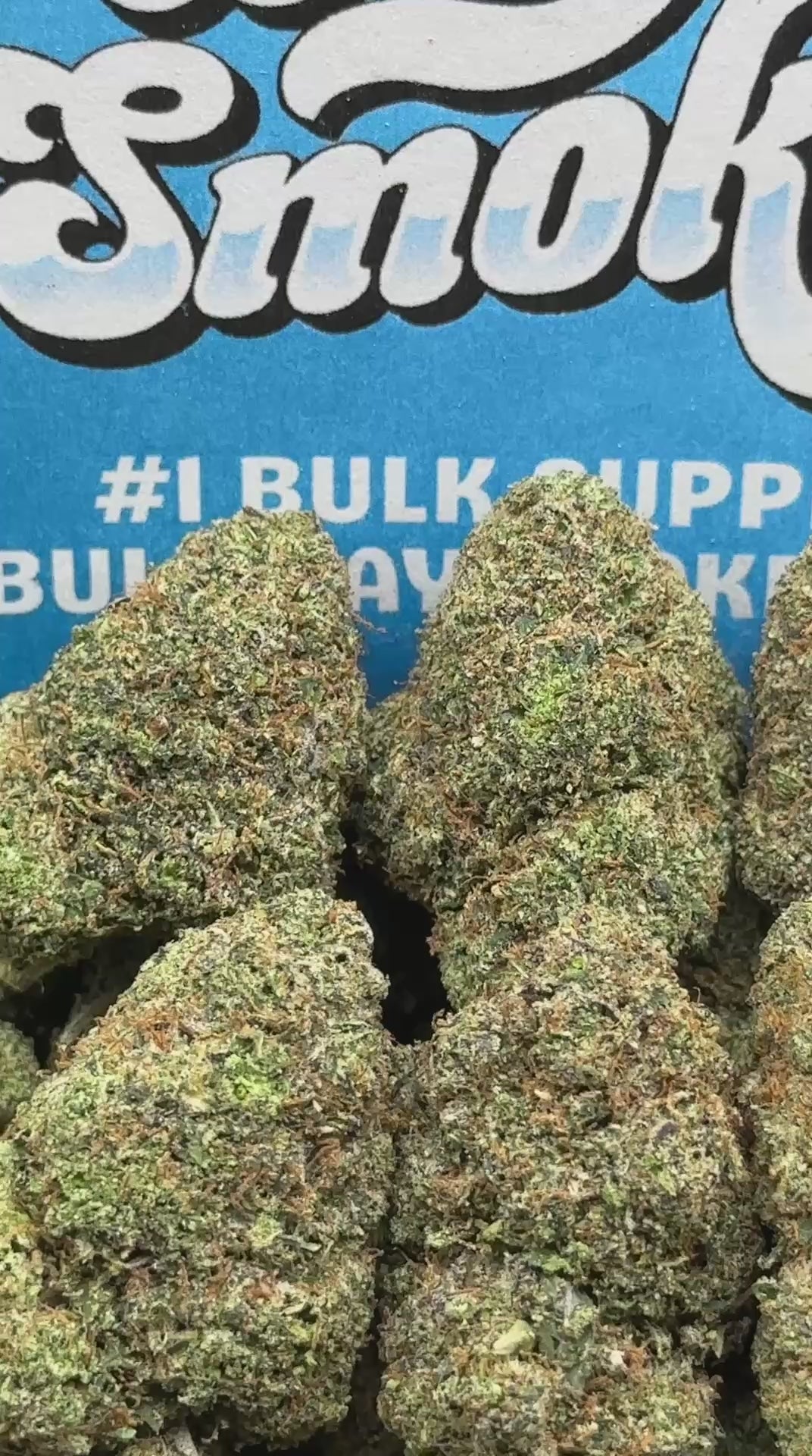 Lolli Wooli (Indica)