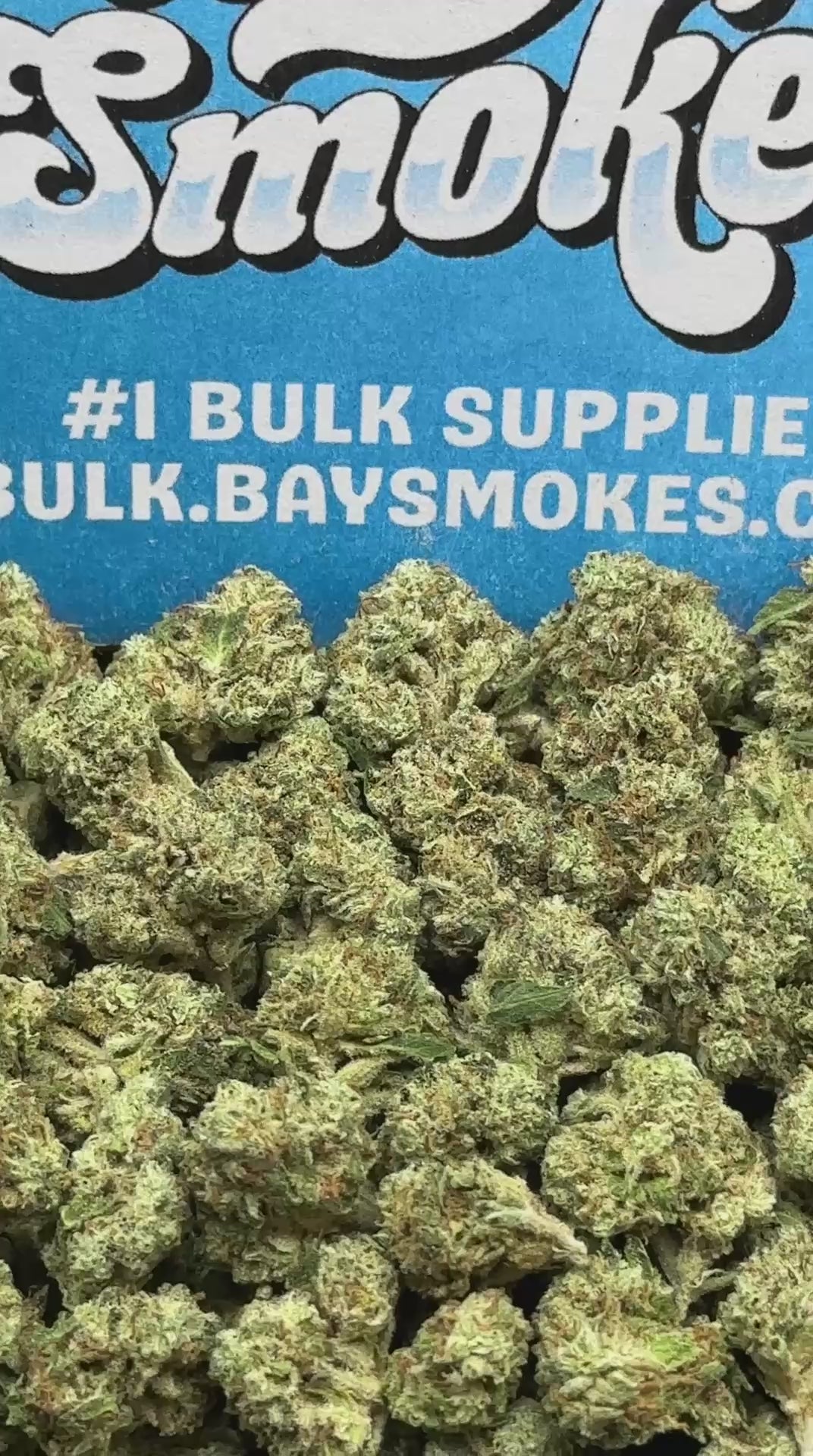 Blue Dream Pie SM (Indica Hybrid)
