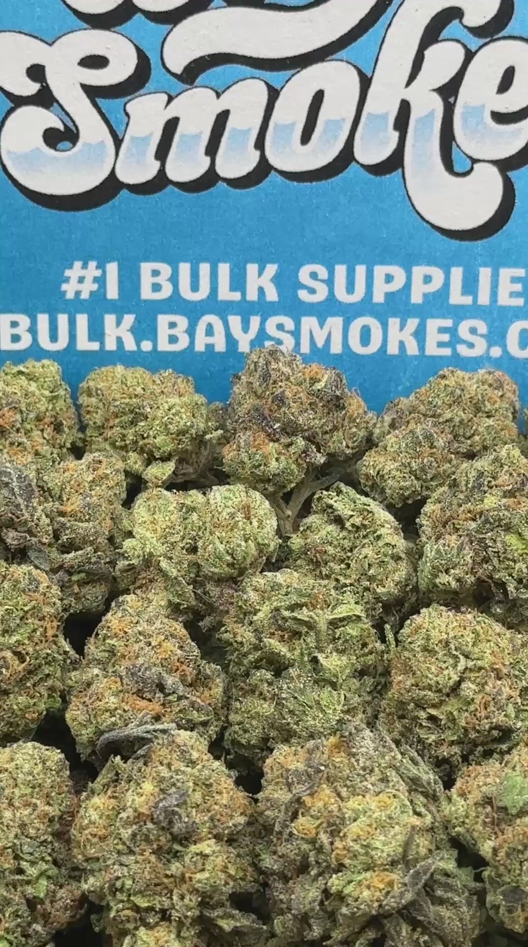 Gumbo SM (Sativa)