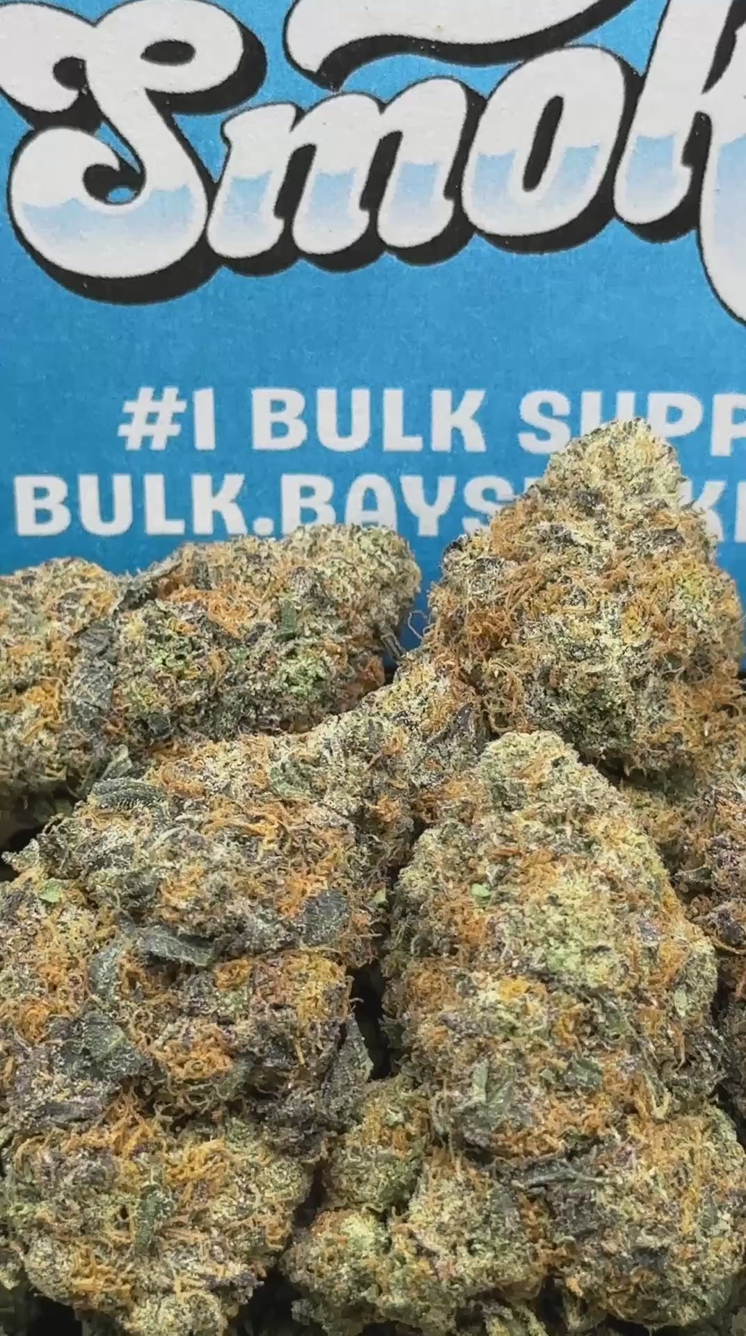 Jealousy ZA (Sativa Hybrid)