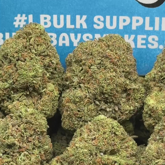 Grape APE (Indica)