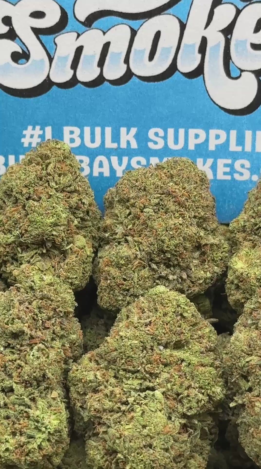 Grape APE (Indica)