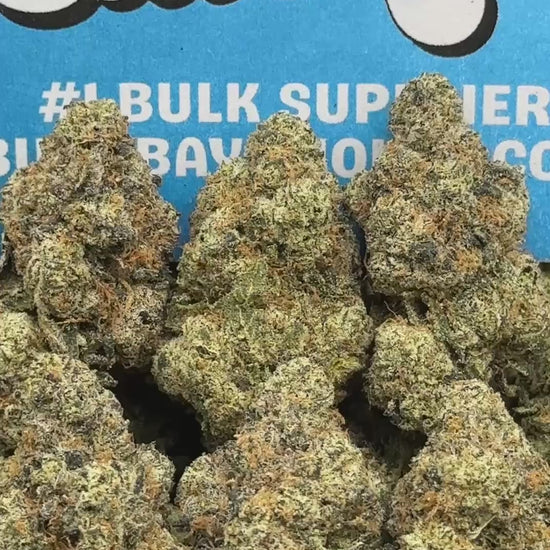 Lemon Cherry Gelato (Indica)
