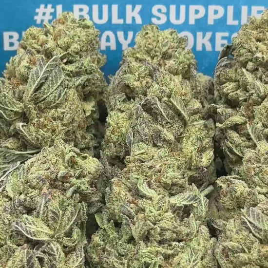 Gelatti (Sativa Hybrid)