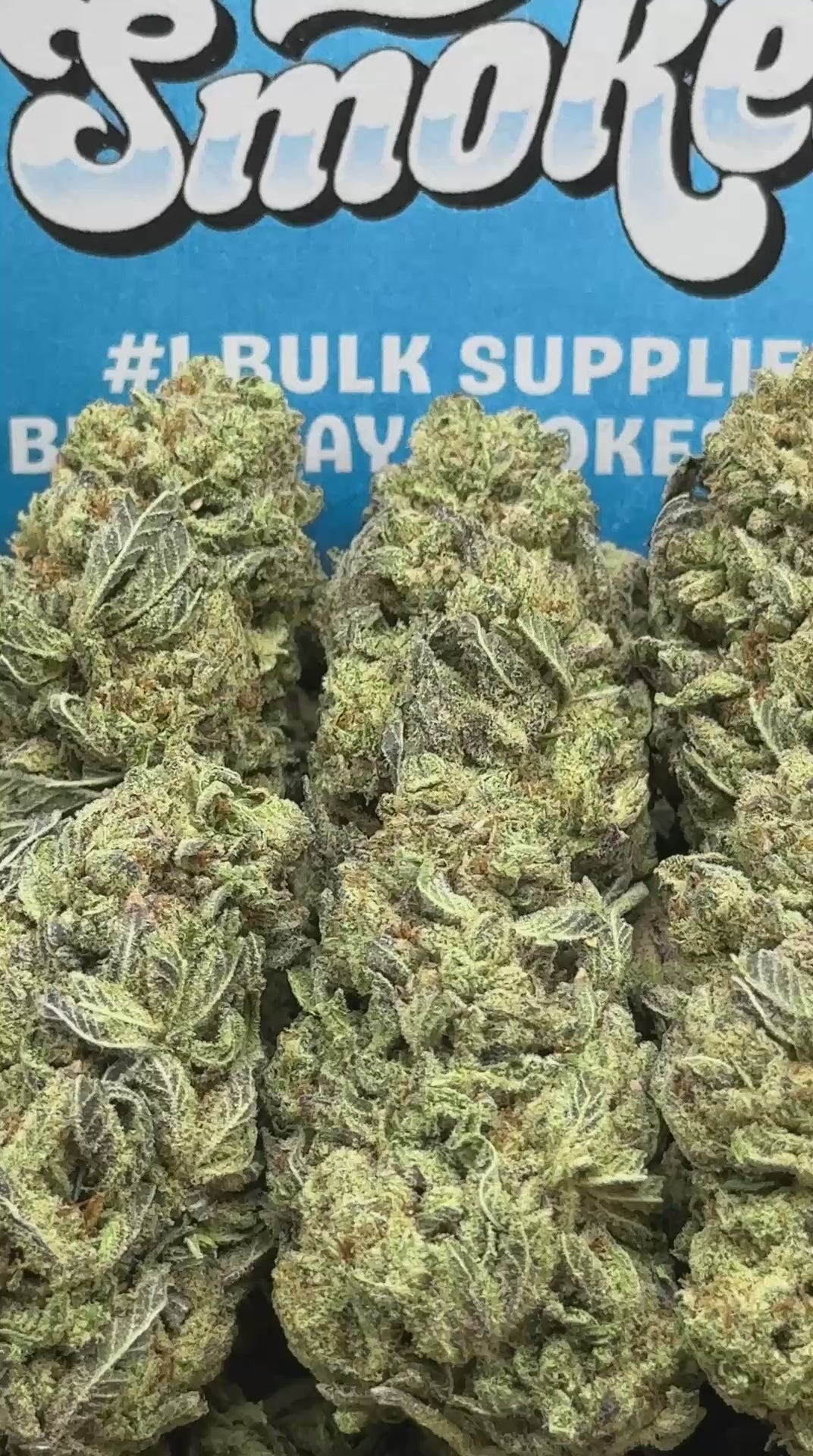 Gelatti (Sativa Hybrid)